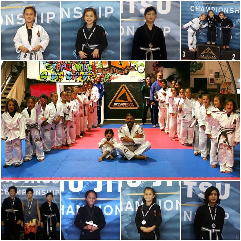 Brazilian Jiu Jitsu (Martial Arts)