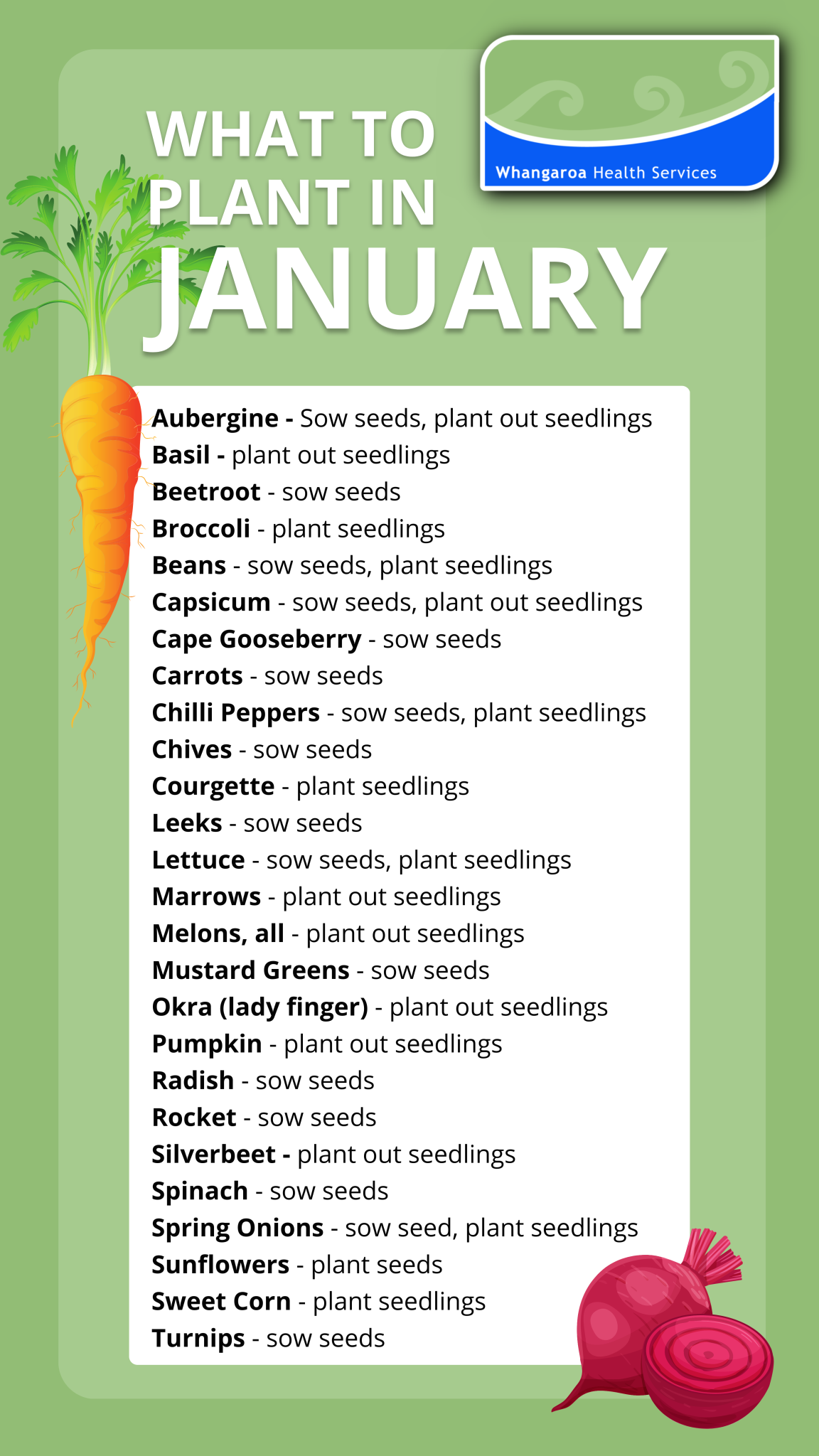 January Planting Whangaroa Health